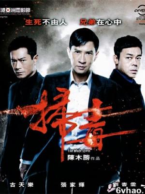 纪录片海岸线笔记高清封面